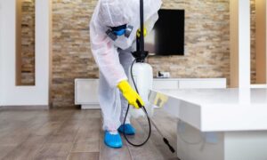 disinfection services